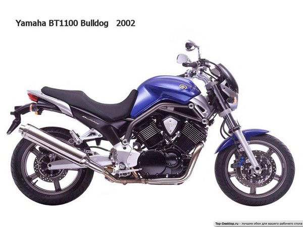 Алексей Хомколов