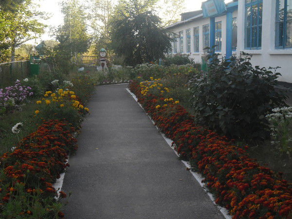 Береговая Оош Железинский Район