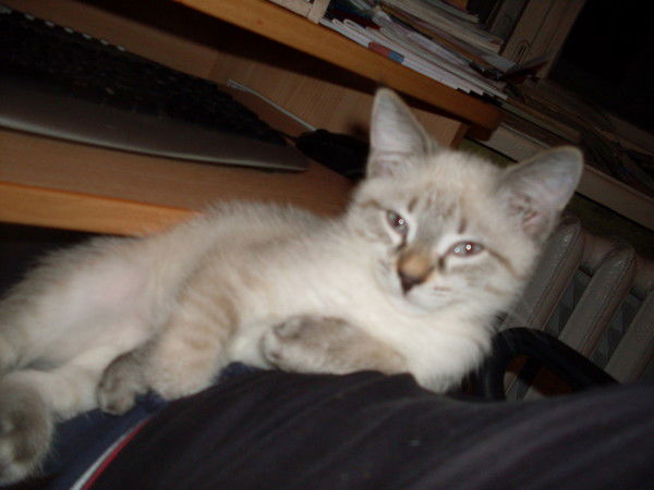 Мария Субоч