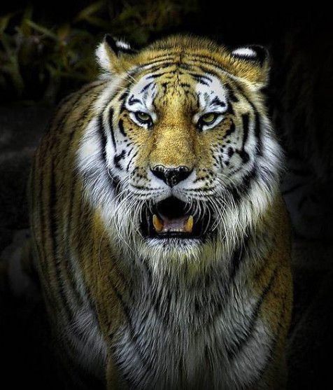 Cергей Сляндин