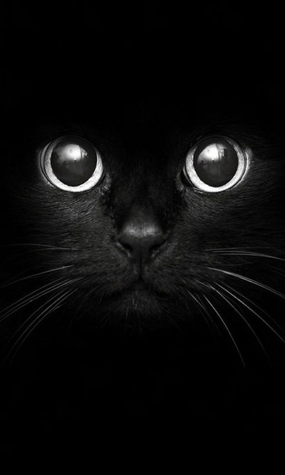 Ленуська Петрова