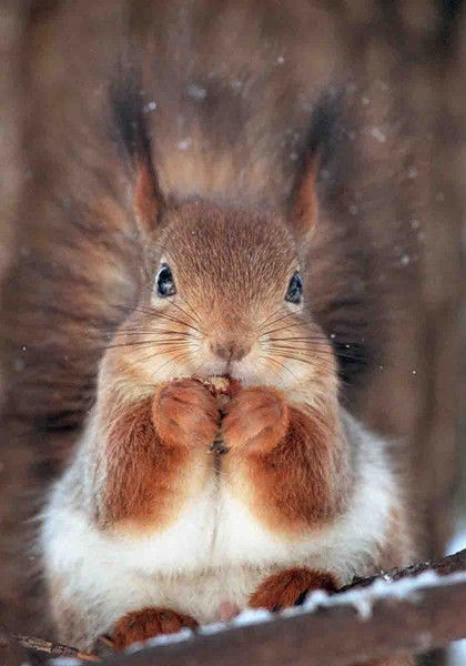 Марина Прокопчук