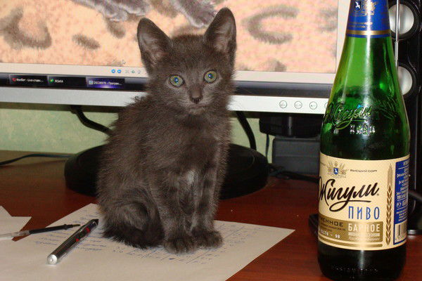 Александр А