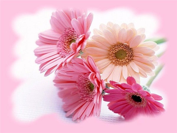 Ирина Кружкова