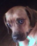 Наталья Курганская