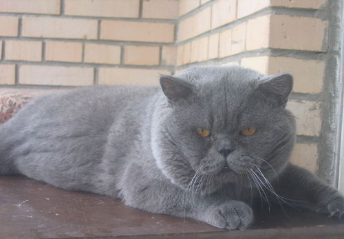 Наталия Соколова