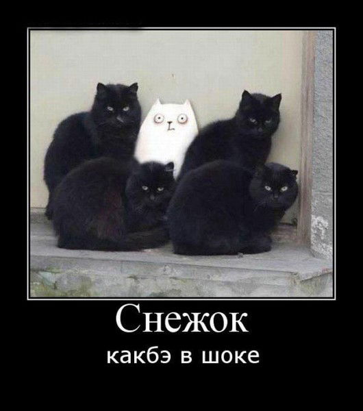 Сергей Подольский