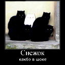 Сергей Подольский