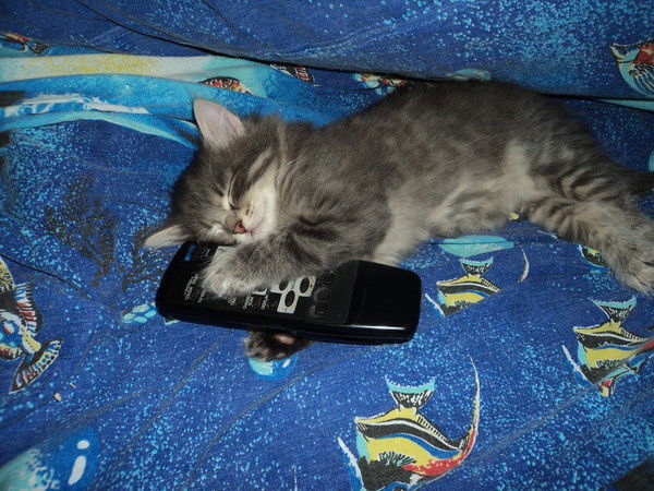 Оксана Воробьева