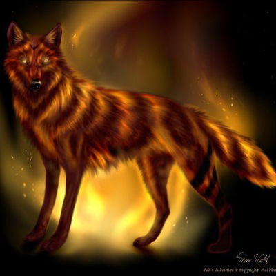 Дима Коростелёв