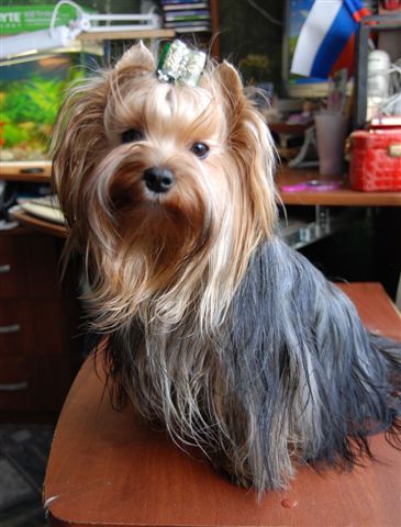 Виктория Удальцова