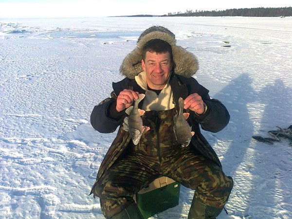 Александр Тергоев