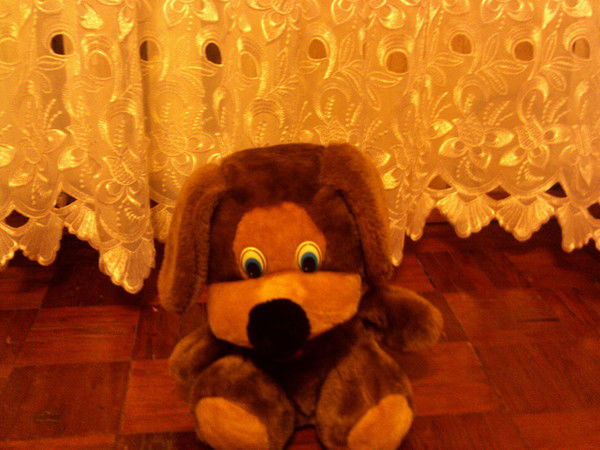 Антонина Туркова