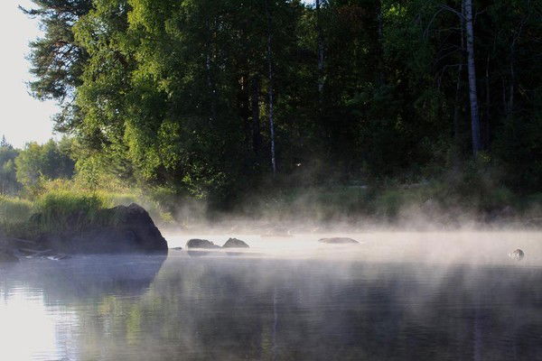 Галина Шаповалова
