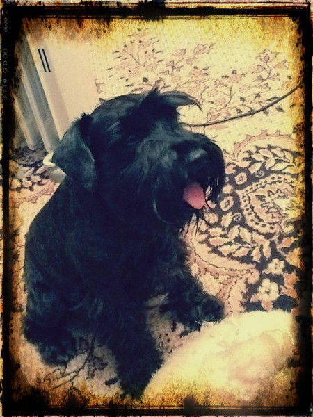 Никодим Никодимыч