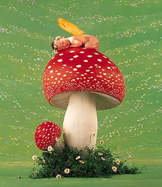 Антон Ефимкин