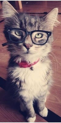 Даниил Бандуров