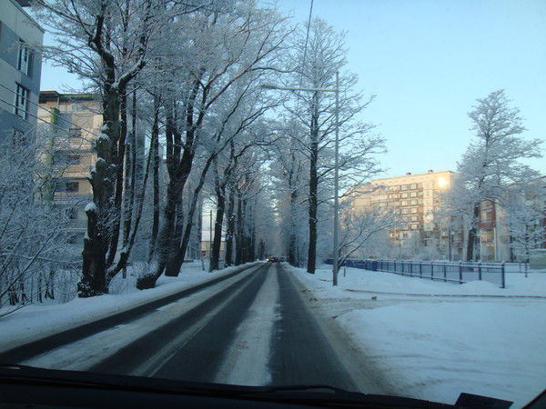 Елена Козырева