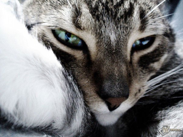 Наташа С..........