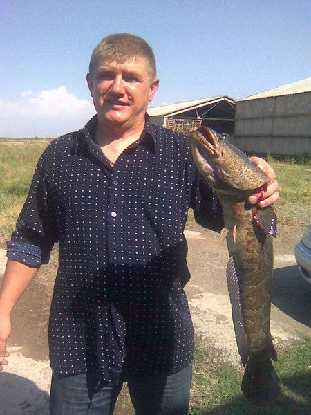 Андрей Анорин