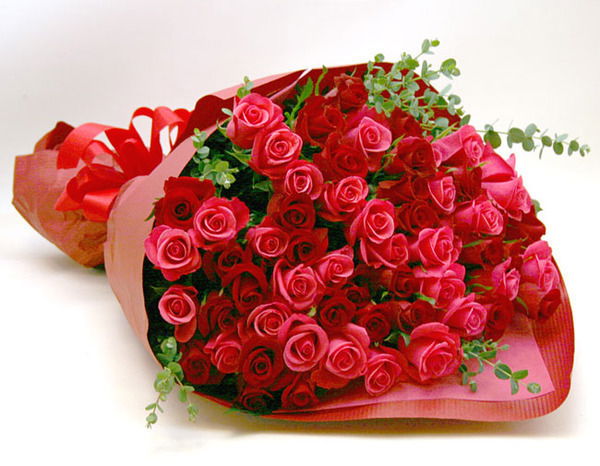 Светлана Ремизова