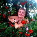 Елена Ткаченко