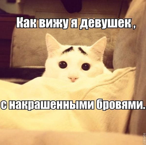 Нежность )))