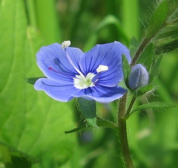 Татьяна Абрамова