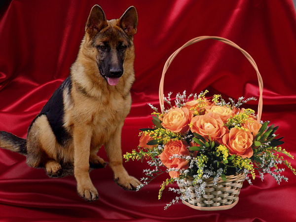 Григорий Хлопецкий