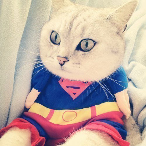 Тимур Романов