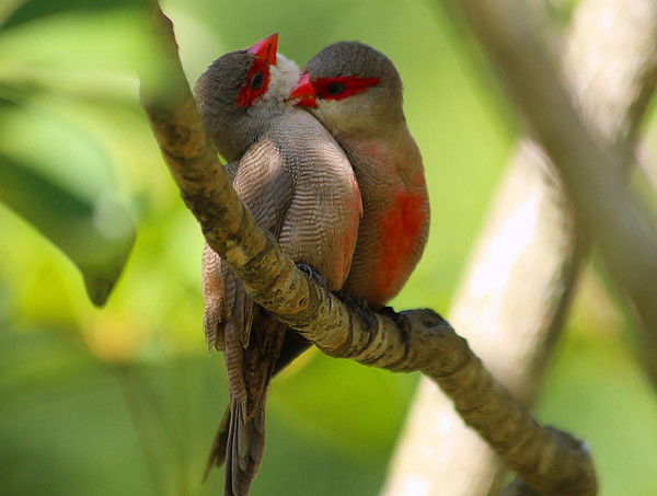 9044969004 9044969004