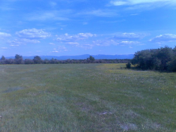 Вячеслав Седунов