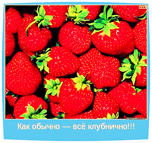 Ванесса Костецкая