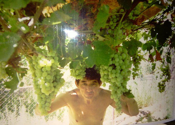 Финис Идрисов