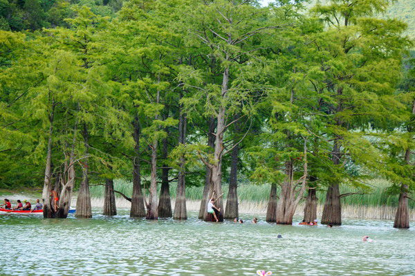 Гуля Дубовикова