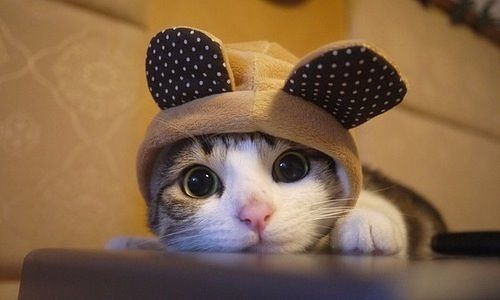 Елизавета Никулина