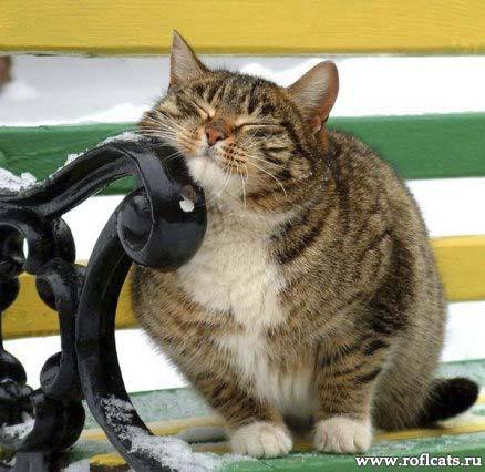 Оксана Керенкова