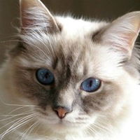 Илья Хижняков