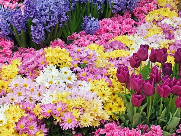 Асия Ахметова