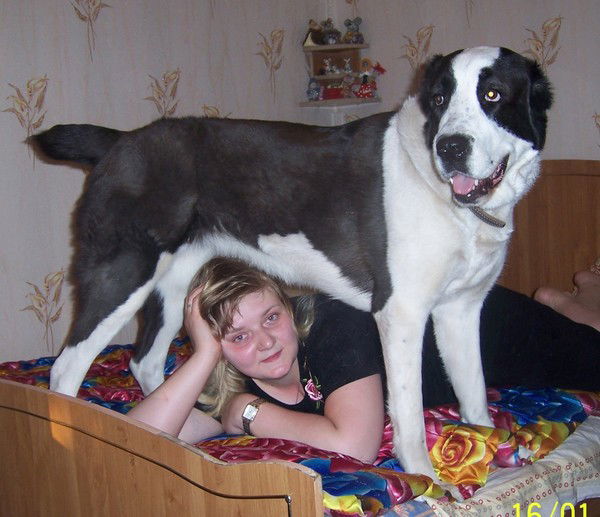 Светлана Батракова