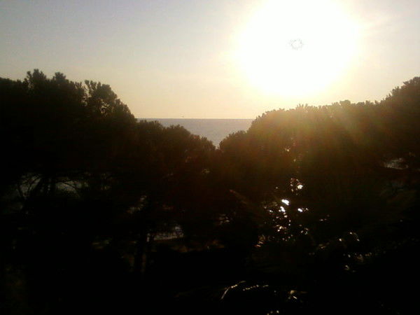 Владимир Дмитриевич