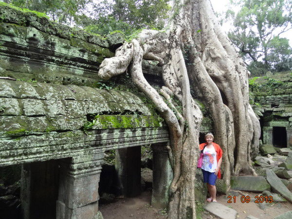 Юлия Каширина