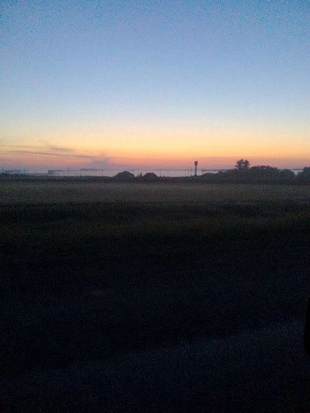 Алексей Ларионов