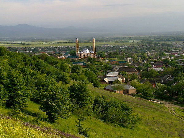 Администрация Илсхан-Юрт