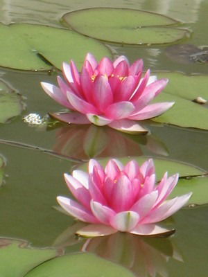 Лилия Исмагилова