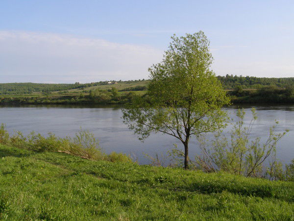 Александр Войтенков