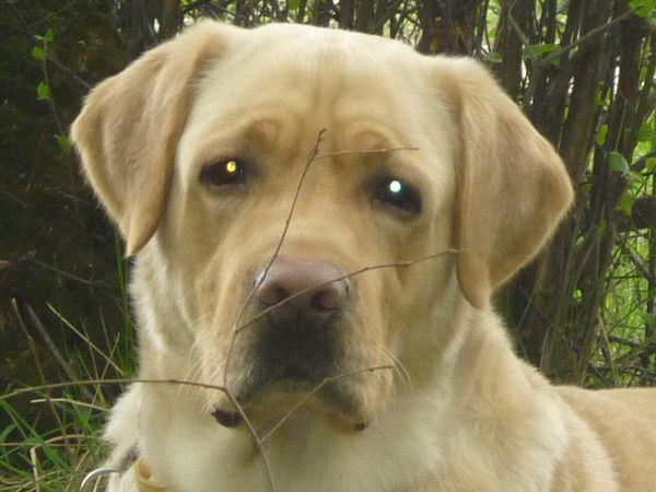 Игорь Иванов