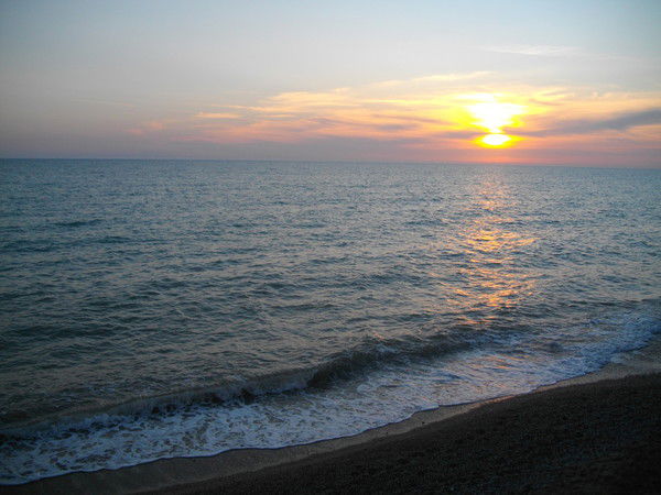 Елена Коваль