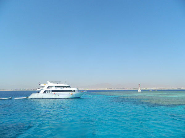 Оксана Плуталовская