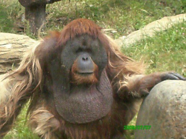 Андрей Кузнецов